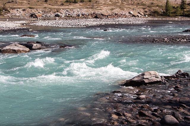 Whitewater at Alberta's Athabasca River