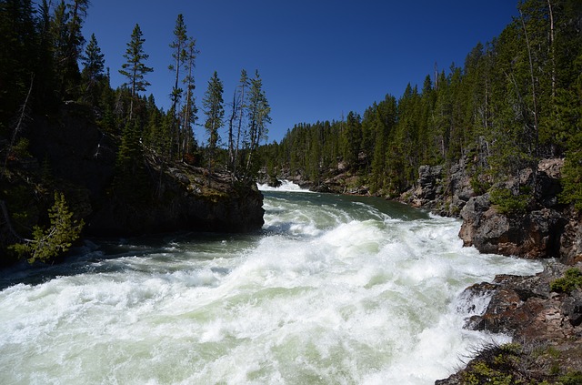 river with whitewater rapids